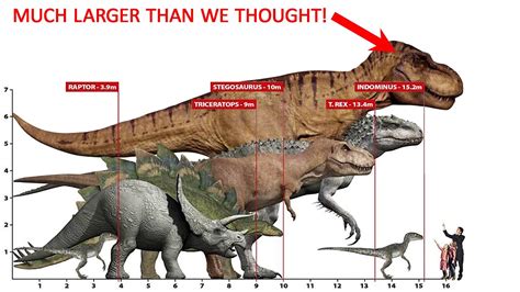 MEGA-SIZED T-REX (70% Larger than we previously thought!) - YouTube