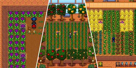 The Best Crops To Grow In Your Greenhouse In Stardew Valley