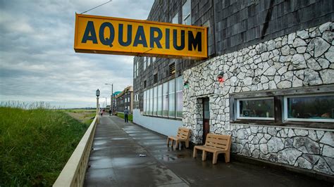 The Best Hotels Closest to Seaside Aquarium in Seaside for 2021 - FREE ...