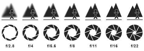 What is Aperture in Photography? Key Concepts Explained