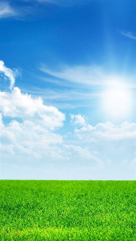 Sky and Grass Wallpapers - Top Free Sky and Grass Backgrounds ...