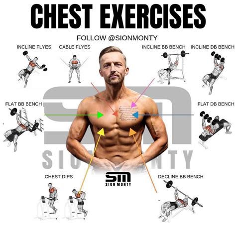 10 Best Chest Exercises For Building Muscle - GymGuider.com | Best ...