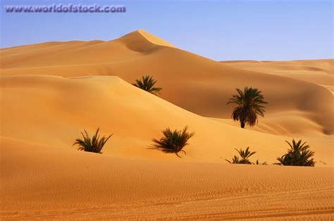 Desert climate - Alchetron, The Free Social Encyclopedia