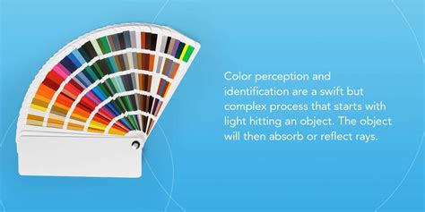 What Is Color Measurement and Why Do We Measure Color?