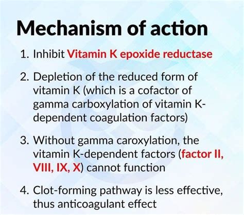 Warfarin Mechanism Of Action Animation