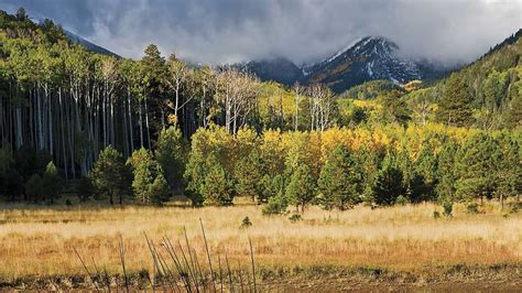 17 Best Hikes in Flagstaff to Reconnect You with Nature - Flavorverse