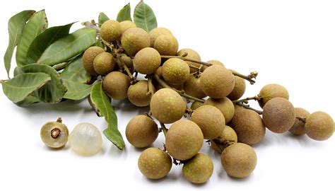 Longan Information and Facts