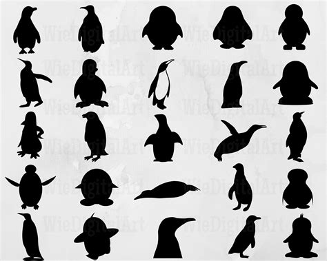 Penguin Svg Penguin Silhouette Penguin Svg Bundle Penguin Svg Design ...