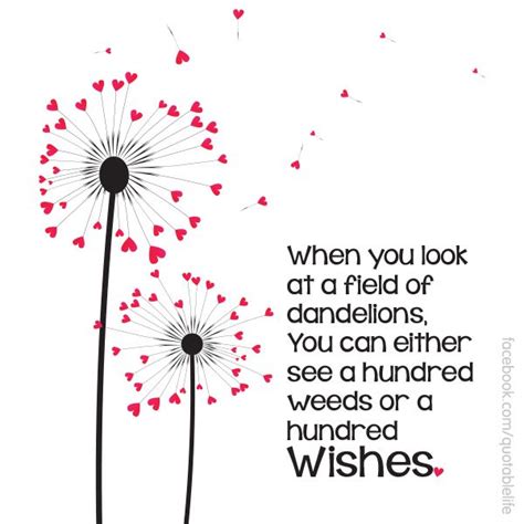 When you look at a field of dandelions... | {Quotes} | Dandelion quotes ...