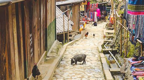 Cat Cat Village at Sapa - How to get there & What to see & do