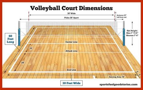 Volleyball Court Dimensions, Net Size, and Height | Sports Feel Good in ...