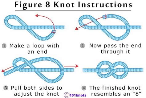 Best Knot For Dog Leash: A Quick Guide