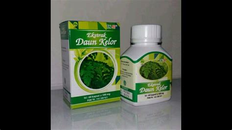 Ekstrak Daun Kelor Origininal BPOM, Herbal Kaya Manfaat dan Multi ...