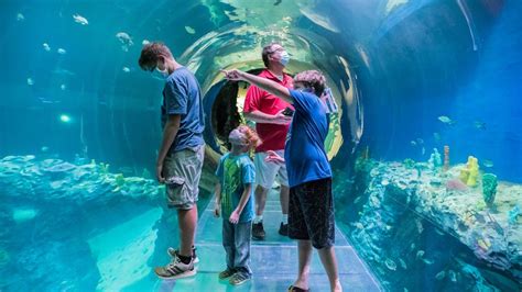 Mississippi Aquarium opens in Gulfport 15 years after Katrina | Biloxi ...