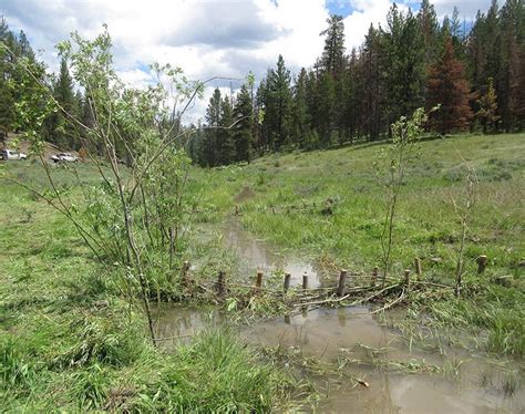 OHA helps build beaver dam analogs to improve Ochoco habitat - Oregon ...