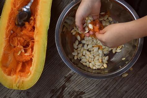 How To Save Zucchini Seeds - 500 Seeds Per Zucchini!