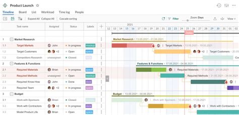 Timeline Examples and Tips on How to Use Them