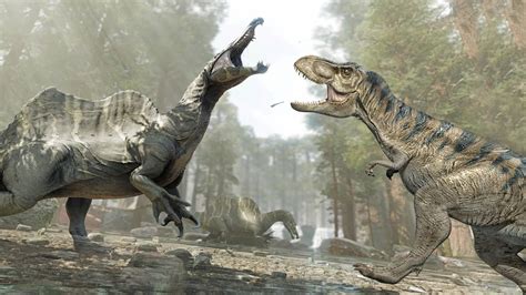 T Rex - VS - Spinosaurus - Size Comparison - YouTube