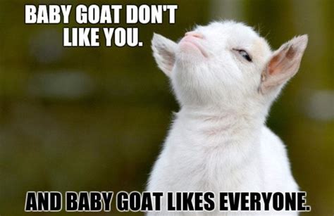 These Goat Memes Are the Greatest of All Time (25 Memes) | Funny goat ...