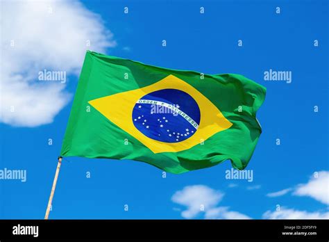 Hora Prestador desierto colores bandera brasil Robusto El extraño olvidar