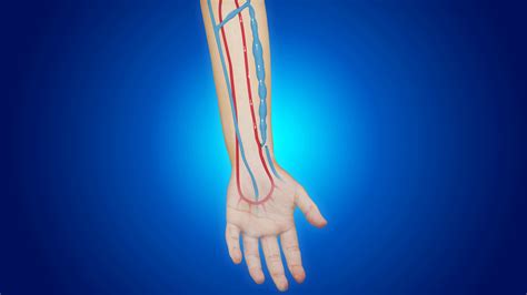 Arteriovenous Fistula Creation Video | Medical Video Library