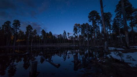 Download wallpaper 1366x768 pond, trees, forest, logs, night, stars ...