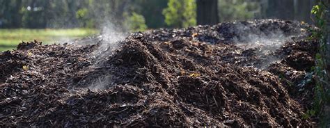 Magic Mulch – Mulch, firewood