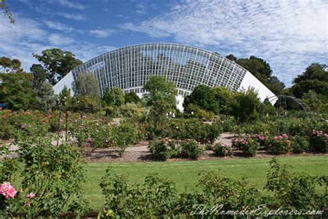 Adelaide Botanic Garden | The Nomadic Explorers | Australian Travel Blog