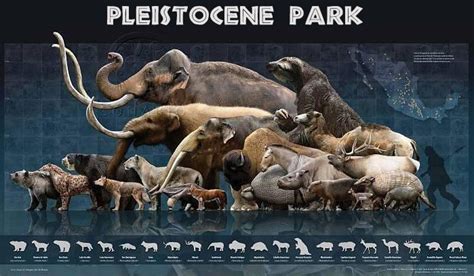 Pleistocene Park | Extinct animals, Prehistoric animals, Megafauna