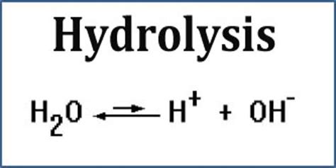 Perfect Hydrolysis Reaction Equation Physics Class 12 Chapter 1 In ...