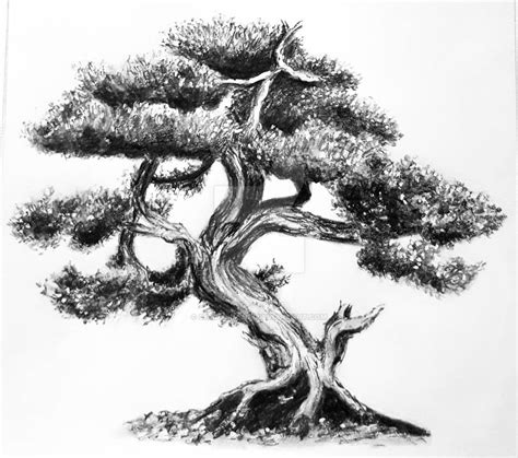 Bonsai Tree Sketch by CarlaSimone on DeviantArt