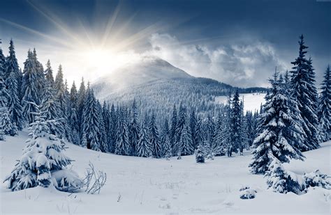 Winter Mountain Forest Wallpapers - Wallpaper Cave