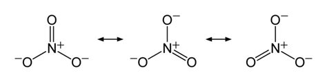 Difference Between Nitrate and Nitrite | Compare the Difference Between ...