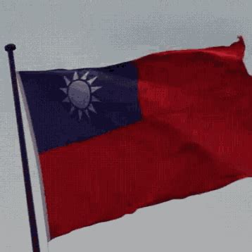 Taiwan Roc GIF - Taiwan Roc Flag - Discover & Share GIFs