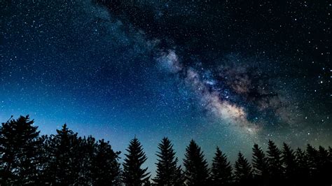 Download wallpaper 1366x768 night in wood, galaxy, starry sky, nature ...