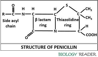 Penicillin Chemical Structure