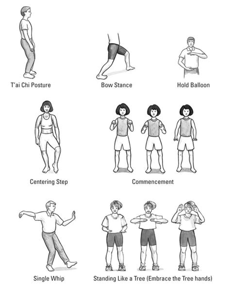 Basic T’ai Chi and Qigong Movements - dummies