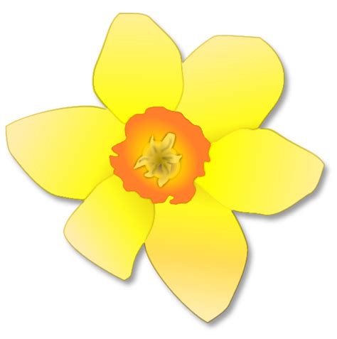 daffodil flower clip art - Clip Art Library