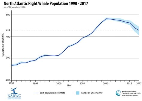 U.S. charts course for adopting ropeless fishing to reduce whale deaths