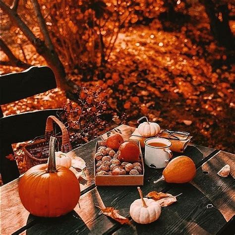 Autumn Picnic Vibes