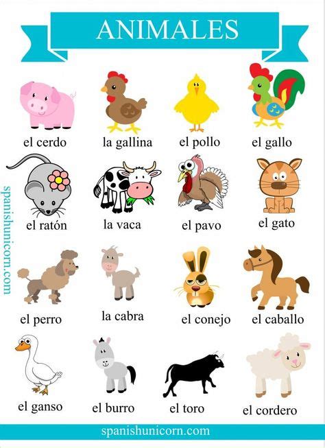 Learning spanish by Jaehee Bae on my spanish | Spanish flashcards