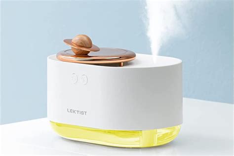 10 Mini Humidifiers Your Houseplants Are Dying for You to Get