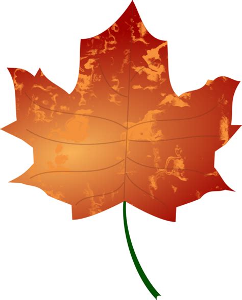 Autumn Leaf vector files image - Free stock photo - Public Domain photo ...