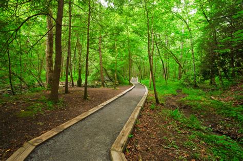 Accessible & Stroller-Friendly Hiking Trails in the Smoky Mountains ...