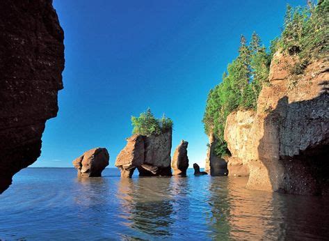 Hopewell Rocks | East coast travel, Fundy national park, Canada road trip