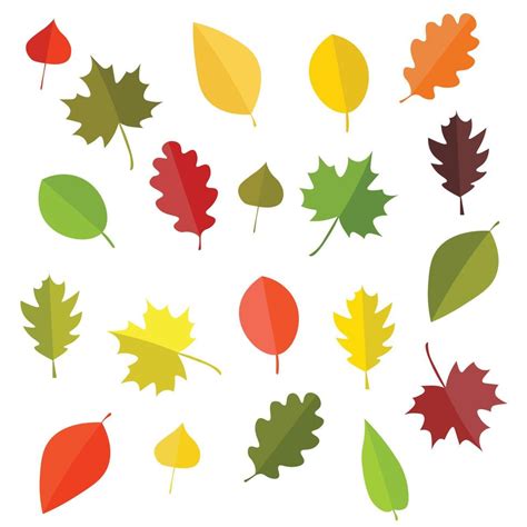 Autumn leaf set 3705881 Vector Art at Vecteezy