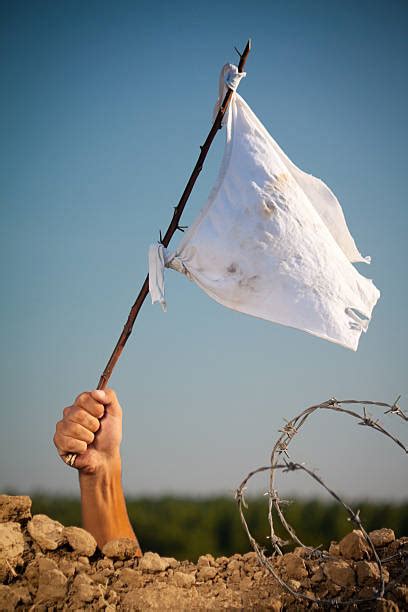 2,400+ Waving The White Flag If Stock Photos, Pictures & Royalty-Free ...