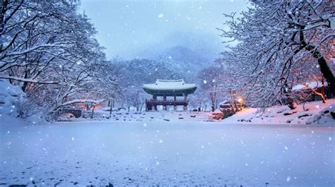 Winter in South Korea: Weather, Destinations & More | Bookmundi