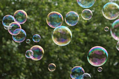 Free Images : tree, water, glass, green, biology, flight, float ...