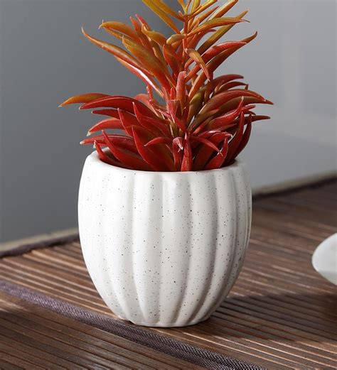 Buy White Ceramic Pumkin Shaped Flower Pot by Cdi Online - Desk Pots ...